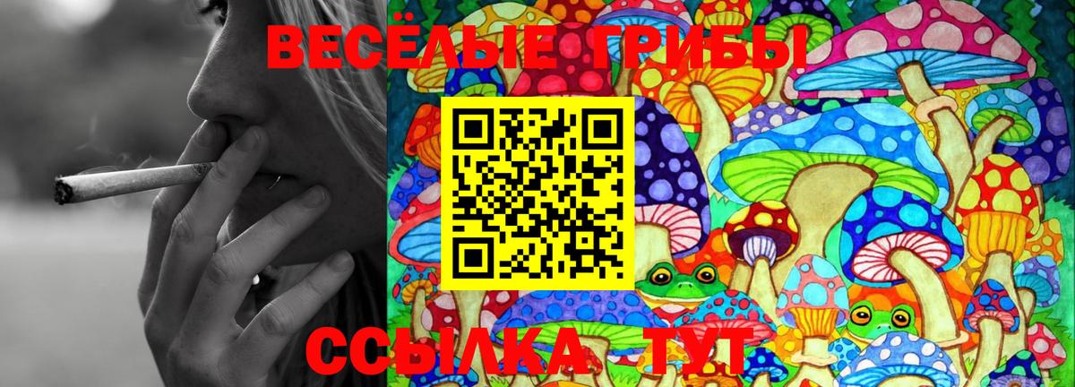 Вязьма  Галлюциногенные грибы мицелий  Вход с VPN  купить  сайты  Галлюциногенные грибы прущие грибы 