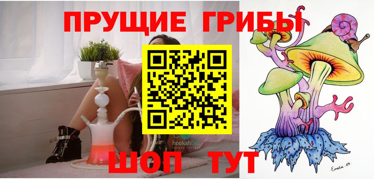 Псилоцибиновые грибы мицелий Вязьма